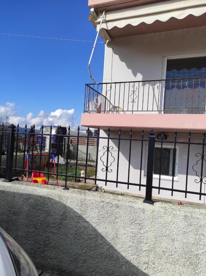 Ferienwohnung Amaltheia Studio Ioannina Exterior foto